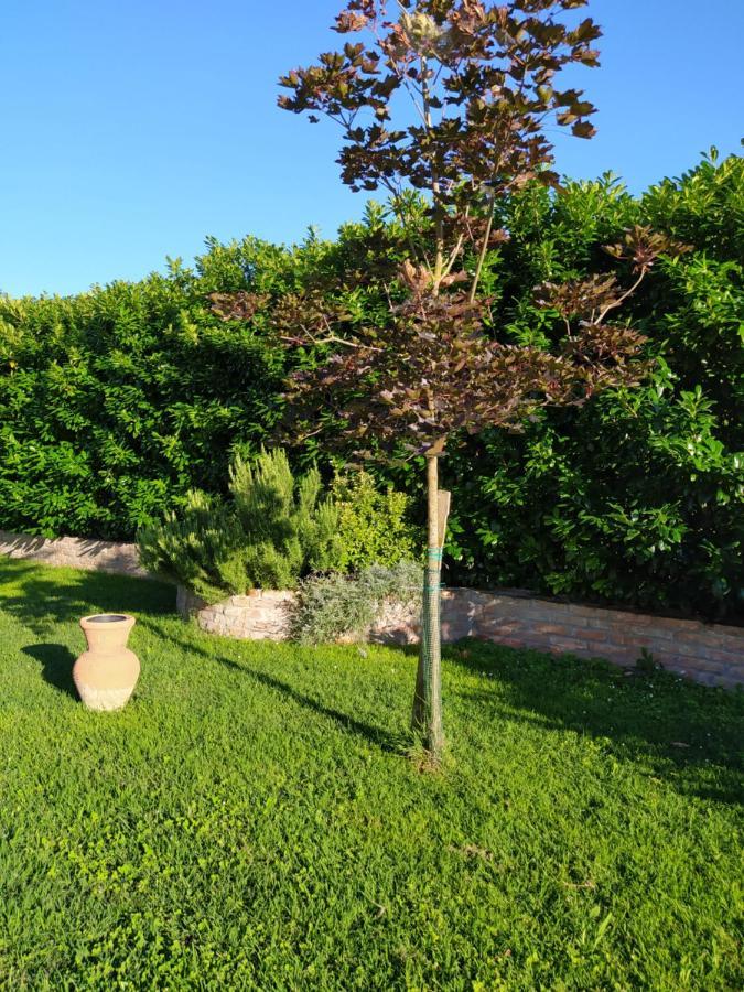 Soggiorno In Relax Correggioverde Экстерьер фото