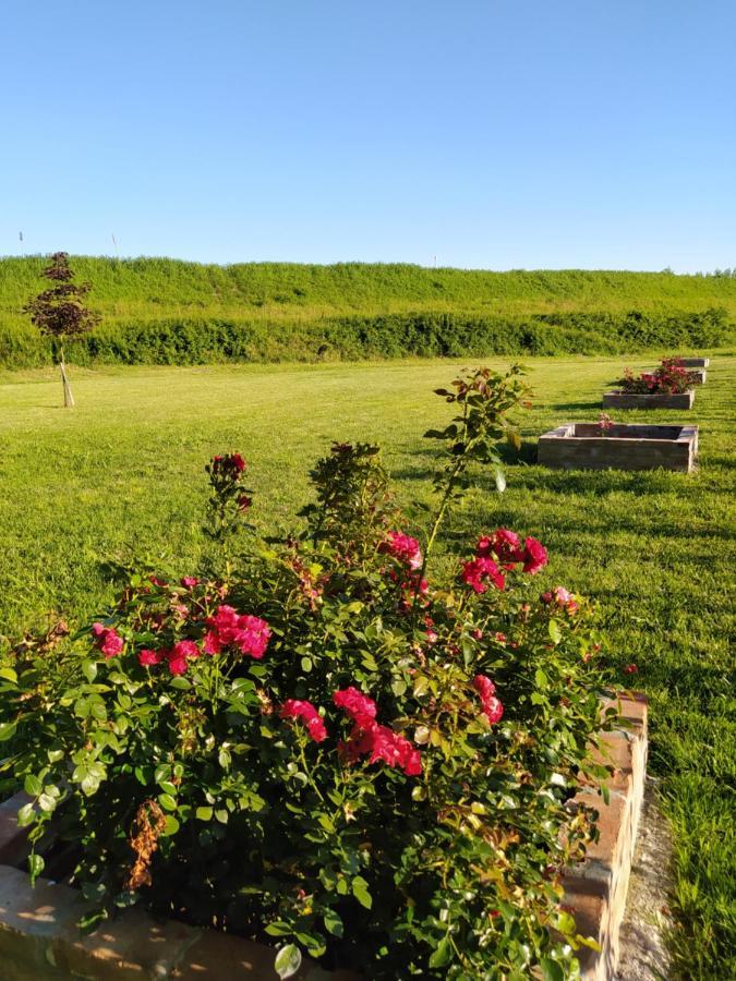 Soggiorno In Relax Correggioverde Экстерьер фото